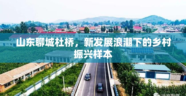 山東聊城杜橋，新發(fā)展浪潮下的鄉(xiāng)村振興樣本