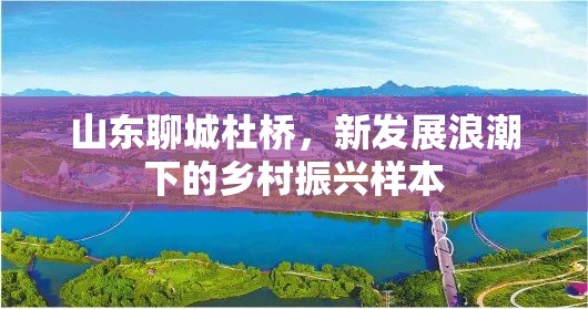 山東聊城杜橋，新發(fā)展浪潮下的鄉(xiāng)村振興樣本