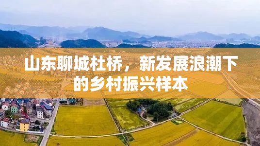 山東聊城杜橋，新發(fā)展浪潮下的鄉(xiāng)村振興樣本