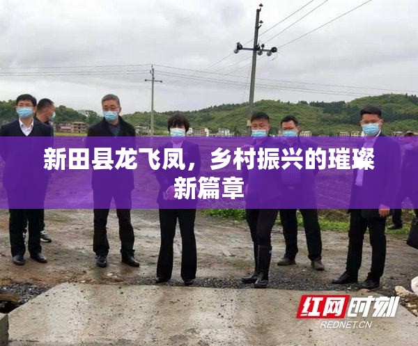 新田縣龍飛鳳，鄉(xiāng)村振興的璀璨新篇章