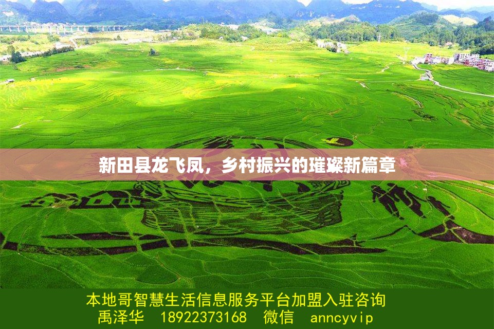 新田縣龍飛鳳，鄉(xiāng)村振興的璀璨新篇章