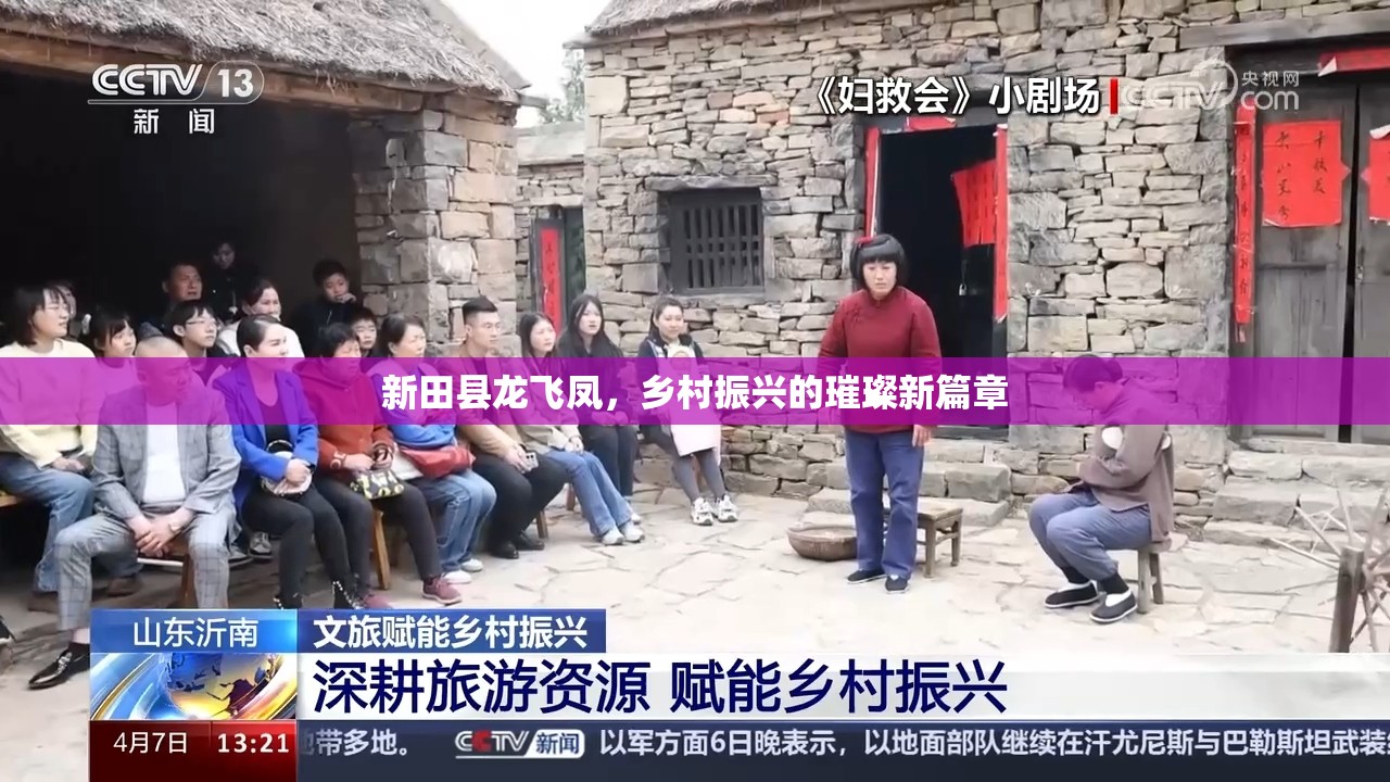 新田縣龍飛鳳，鄉(xiāng)村振興的璀璨新篇章