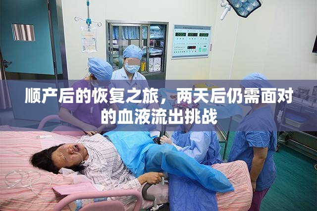 順產(chǎn)后的恢復(fù)之旅，兩天后仍需面對的血液流出挑戰(zhàn)