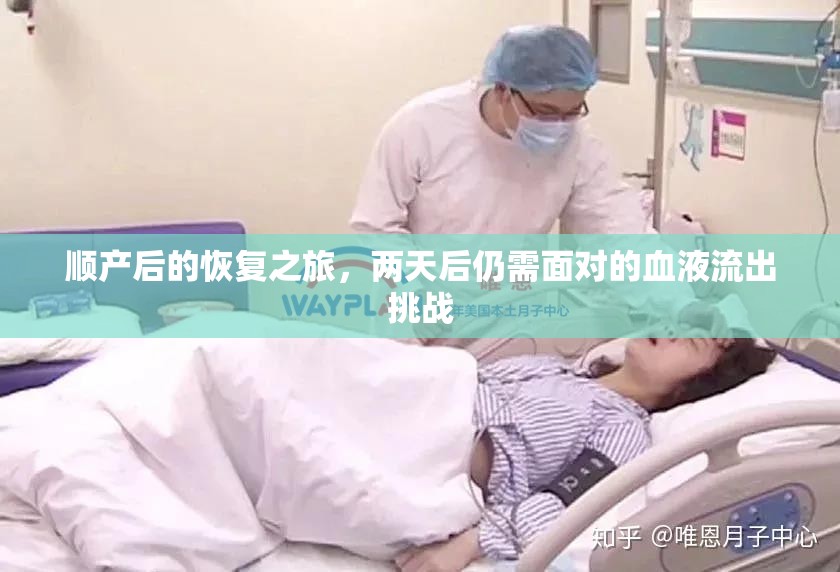順產(chǎn)后的恢復(fù)之旅，兩天后仍需面對的血液流出挑戰(zhàn)