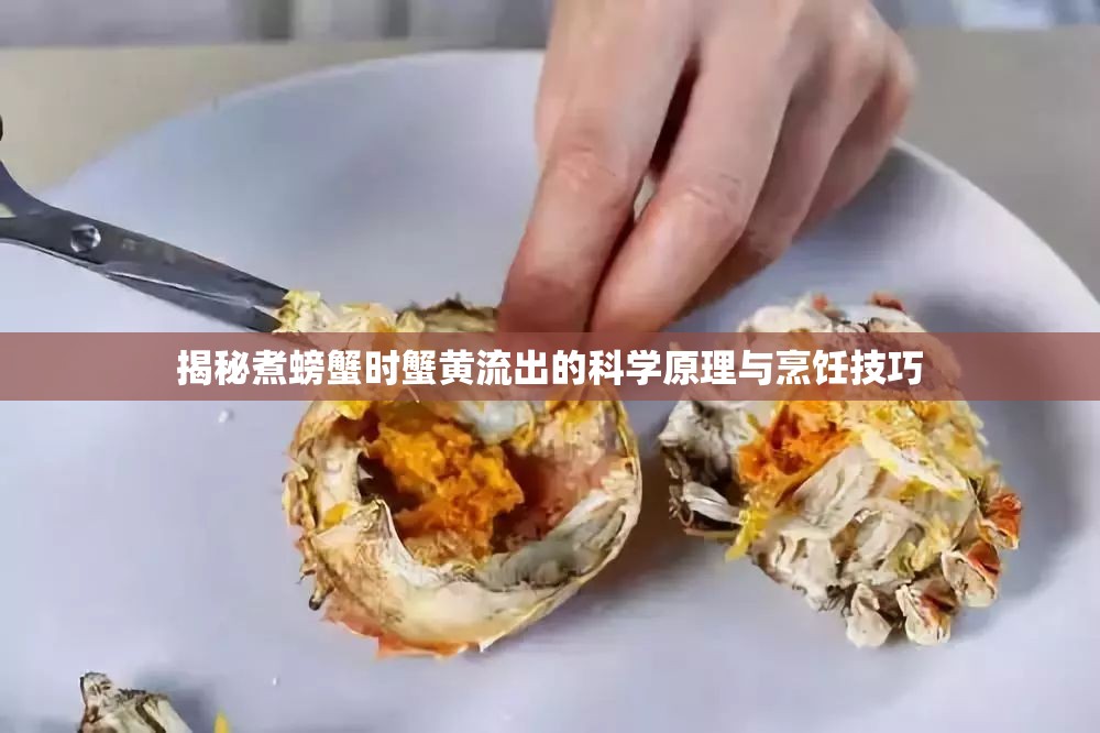 揭秘煮螃蟹時蟹黃流出的科學(xué)原理與烹飪技巧