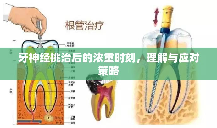 牙神經(jīng)挑治后的濃重時刻，理解與應(yīng)對策略