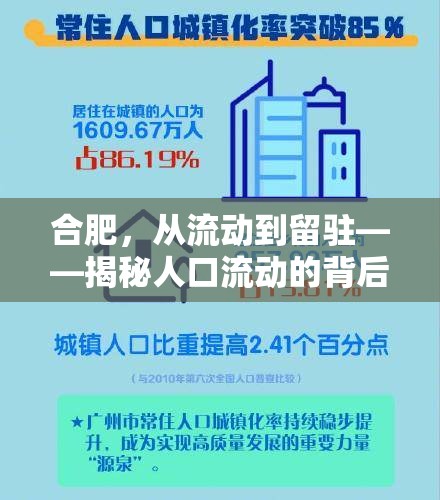 合肥，從流動到留駐——揭秘人口流動的背后故事