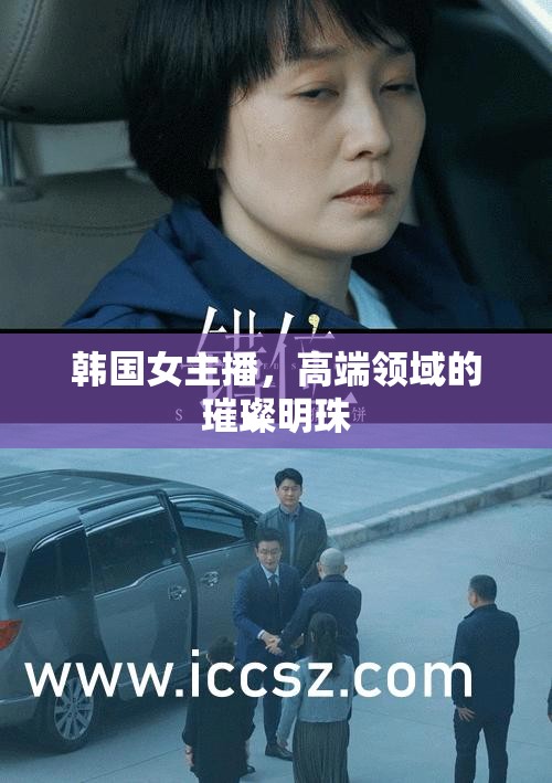 韓國女主播，高端領(lǐng)域的璀璨明珠