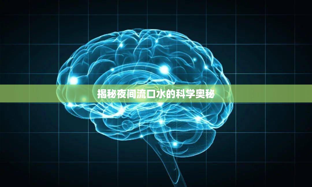 揭秘夜間流口水的科學奧秘