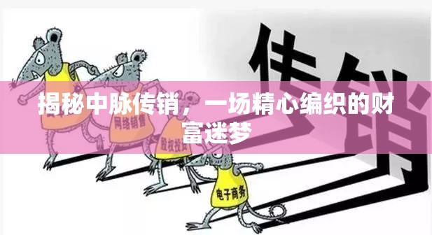 揭秘中脈傳銷，一場精心編織的財富迷夢