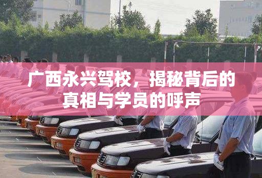 廣西永興駕校，揭秘背后的真相與學員的呼聲