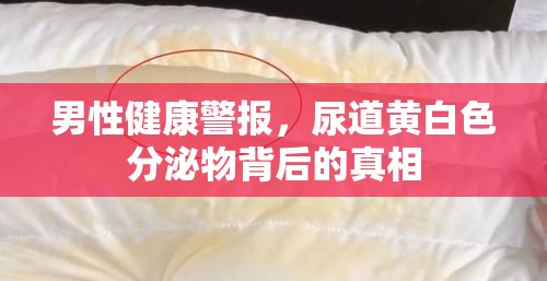 男性健康警報，尿道黃白色分泌物背后的真相