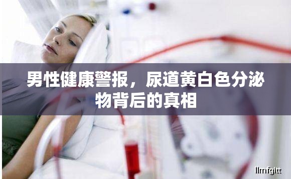 男性健康警報，尿道黃白色分泌物背后的真相