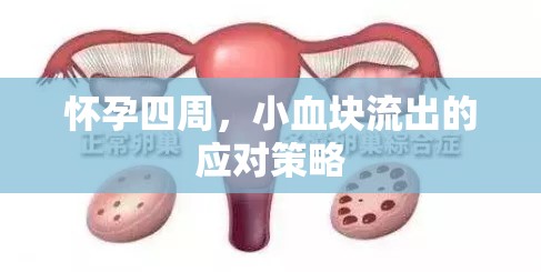 懷孕四周，小血塊流出的應(yīng)對策略