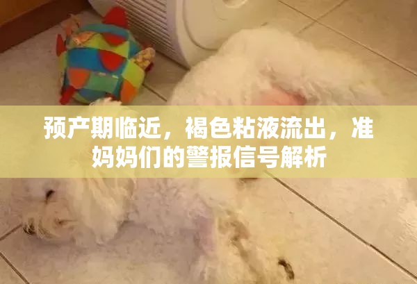 預(yù)產(chǎn)期臨近，褐色粘液流出，準媽媽們的警報信號解析