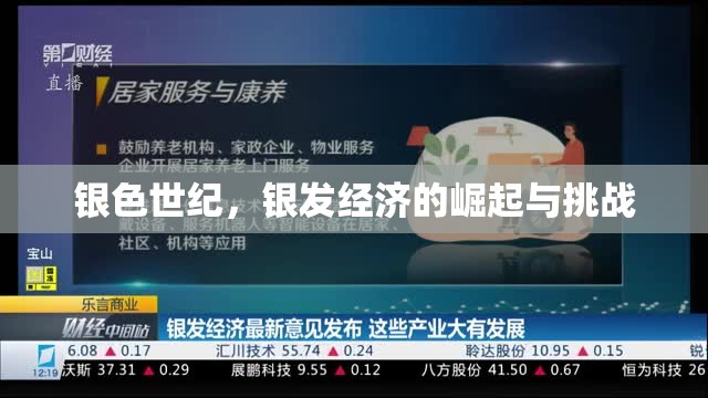 銀色世紀(jì)，銀發(fā)經(jīng)濟(jì)的崛起與挑戰(zhàn)