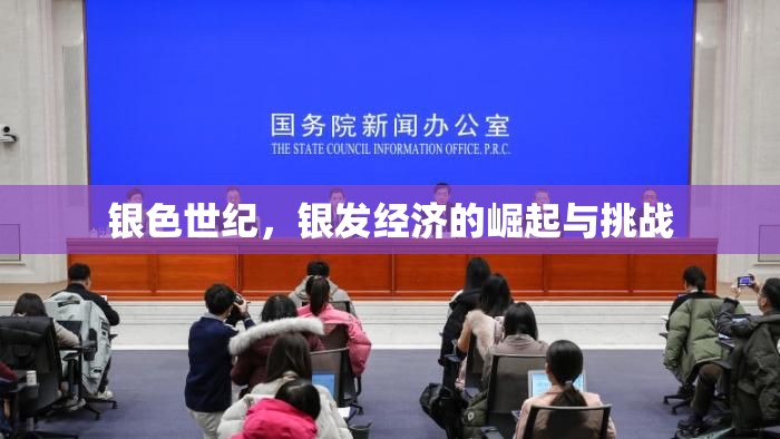銀色世紀(jì)，銀發(fā)經(jīng)濟(jì)的崛起與挑戰(zhàn)
