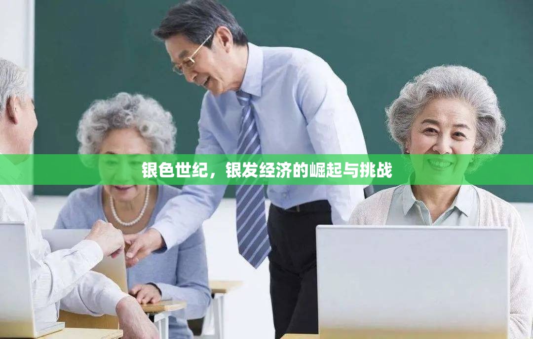 銀色世紀(jì)，銀發(fā)經(jīng)濟(jì)的崛起與挑戰(zhàn)