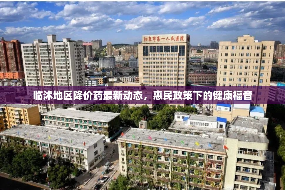 臨沭地區(qū)降價(jià)藥最新動態(tài)，惠民政策下的健康福音