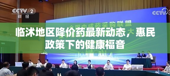 臨沭地區(qū)降價(jià)藥最新動態(tài)，惠民政策下的健康福音