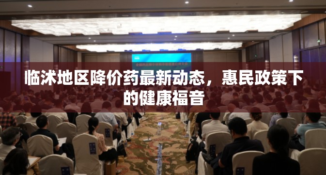 臨沭地區(qū)降價(jià)藥最新動態(tài)，惠民政策下的健康福音