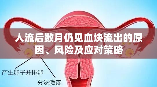 人流后數月仍見血塊流出的原因、風險及應對策略