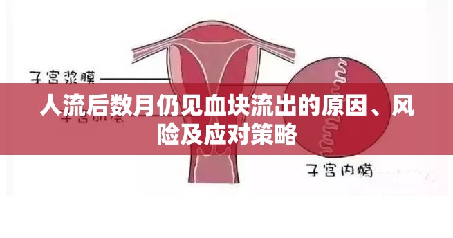 人流后數月仍見血塊流出的原因、風險及應對策略