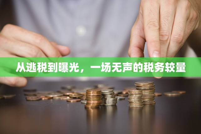 從逃稅到曝光，一場無聲的稅務(wù)較量
