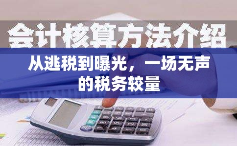 從逃稅到曝光，一場無聲的稅務(wù)較量
