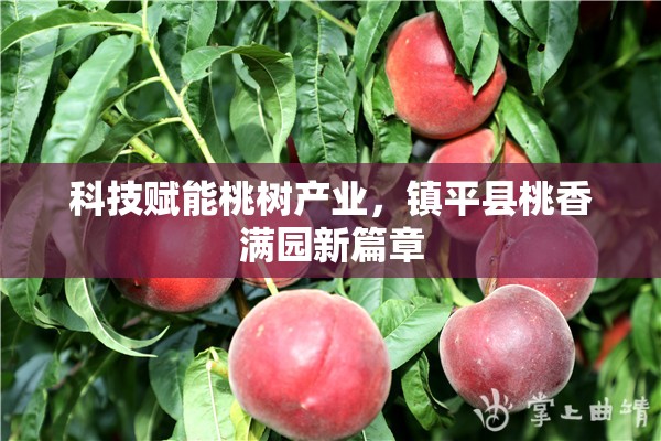 科技賦能桃樹產業(yè)，鎮(zhèn)平縣桃香滿園新篇章