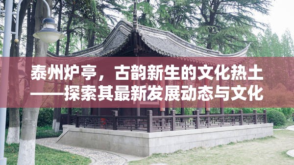 泰州爐亭，古韻新生的文化熱土——探索其最新發(fā)展動態(tài)與文化復(fù)興之路