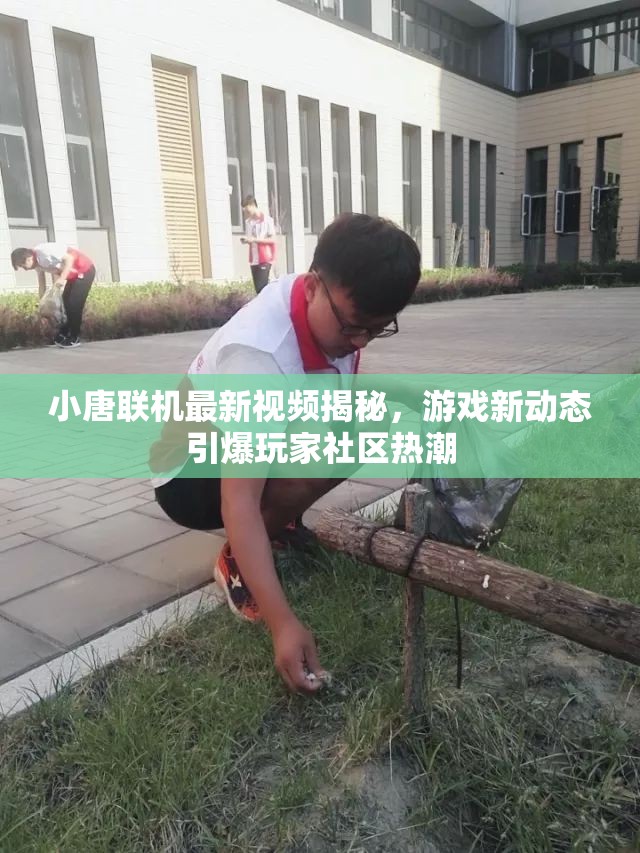 小唐聯(lián)機(jī)最新視頻揭秘，游戲新動(dòng)態(tài)引爆玩家社區(qū)熱潮