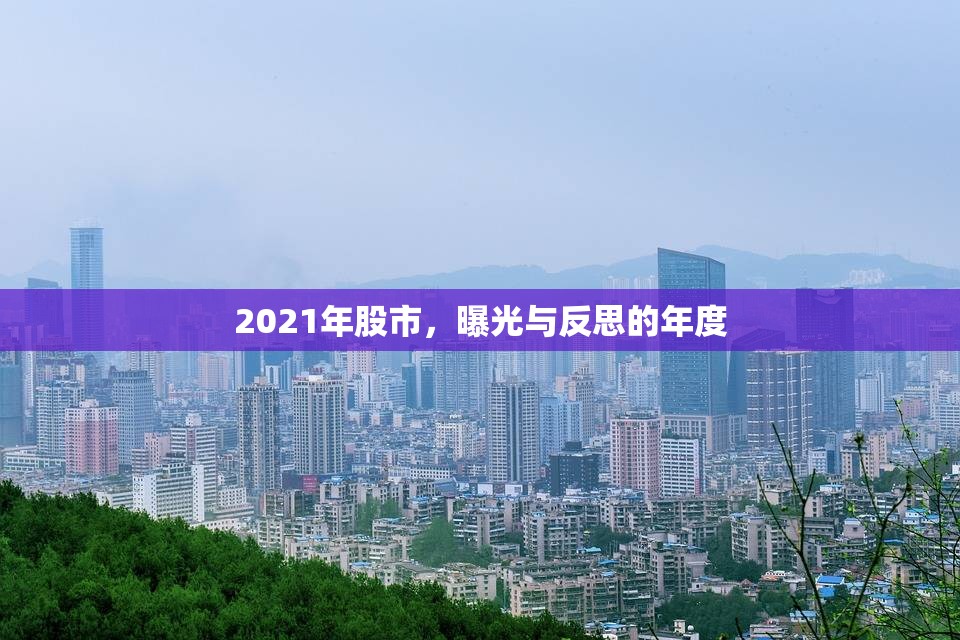 2021年股市，曝光與反思的年度
