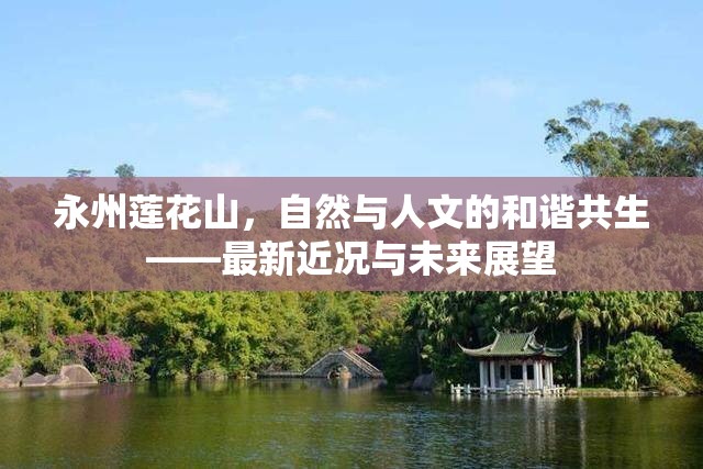 永州蓮花山，自然與人文的和諧共生——最新近況與未來展望