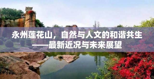 永州蓮花山，自然與人文的和諧共生——最新近況與未來展望