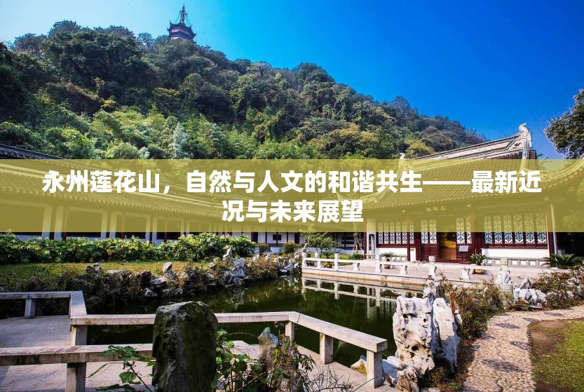永州蓮花山，自然與人文的和諧共生——最新近況與未來展望