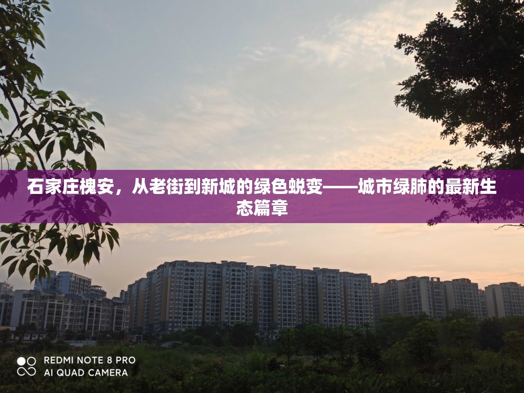 石家莊槐安，從老街到新城的綠色蛻變——城市綠肺的最新生態(tài)篇章
