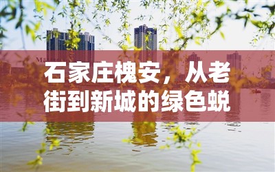 石家莊槐安，從老街到新城的綠色蛻變——城市綠肺的最新生態(tài)篇章