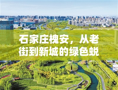 石家莊槐安，從老街到新城的綠色蛻變——城市綠肺的最新生態(tài)篇章