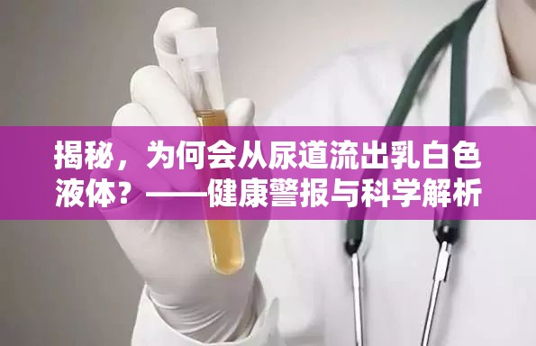 揭秘，為何會從尿道流出乳白色液體？——健康警報與科學解析