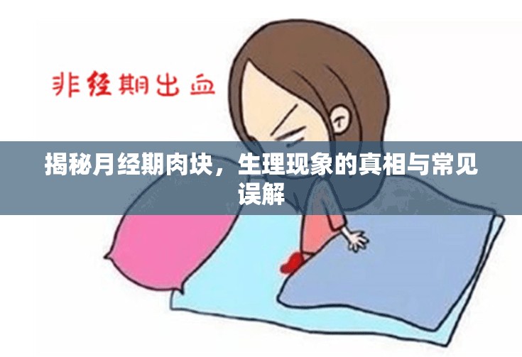 揭秘月經(jīng)期肉塊，生理現(xiàn)象的真相與常見(jiàn)誤解