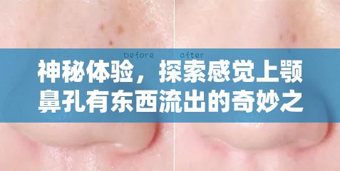 神秘體驗，探索感覺上顎鼻孔有東西流出的奇妙之旅