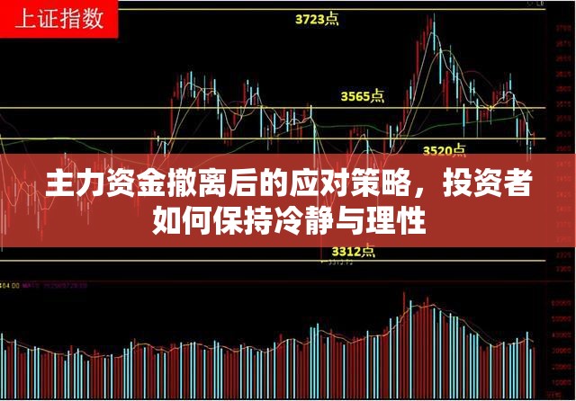 主力資金撤離后的應對策略，投資者如何保持冷靜與理性