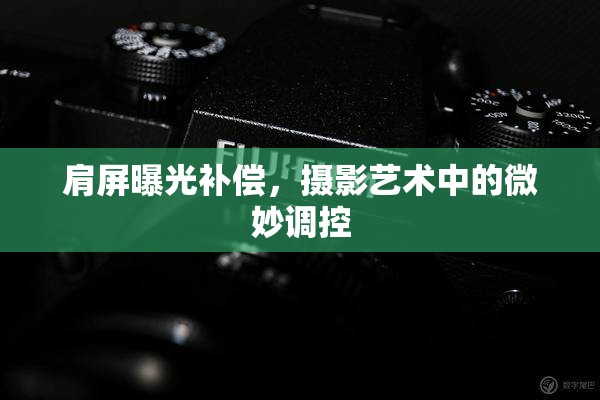 肩屏曝光補(bǔ)償，攝影藝術(shù)中的微妙調(diào)控