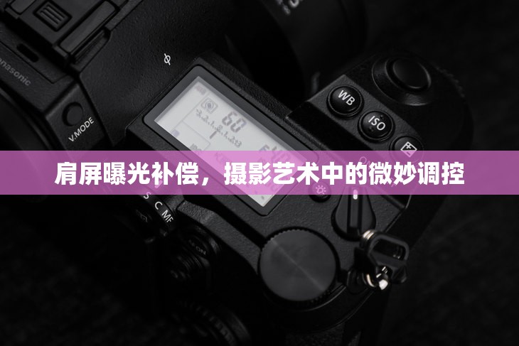 肩屏曝光補(bǔ)償，攝影藝術(shù)中的微妙調(diào)控