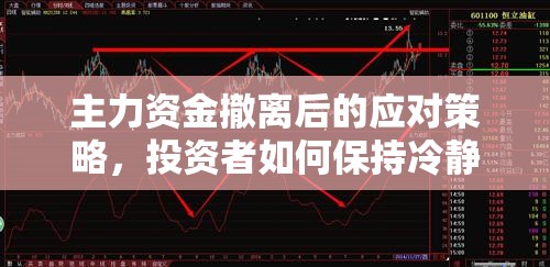 主力資金撤離后的應對策略，投資者如何保持冷靜與理性