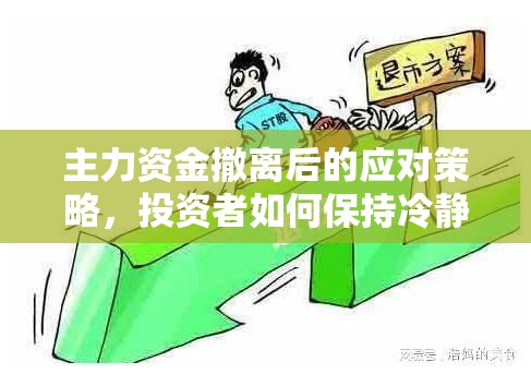 主力資金撤離后的應對策略，投資者如何保持冷靜與理性