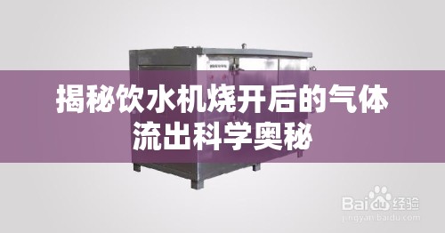 揭秘飲水機燒開后的氣體流出科學(xué)奧秘