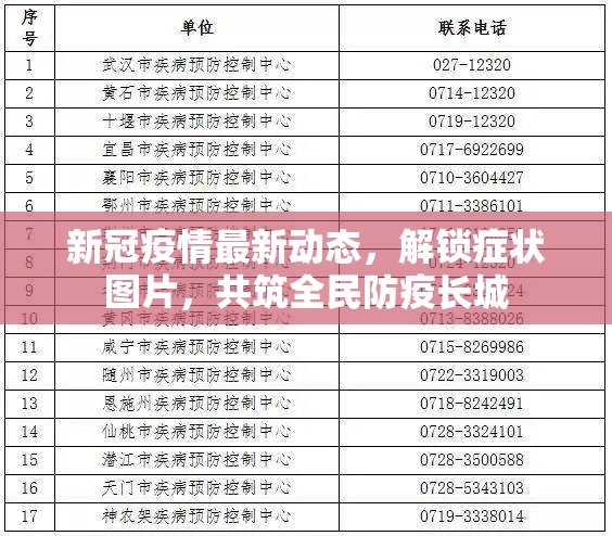 新冠疫情最新動(dòng)態(tài)，解鎖癥狀圖片，共筑全民防疫長城