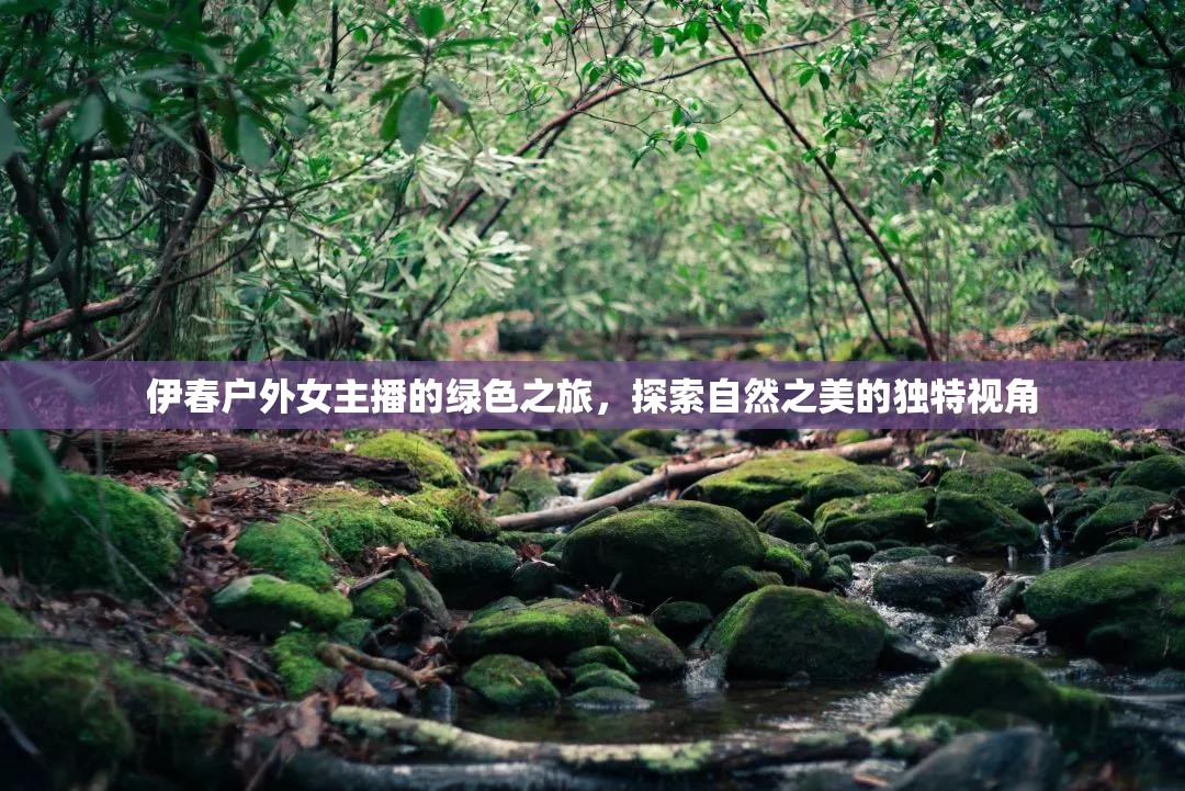 伊春戶外女主播的綠色之旅，探索自然之美的獨特視角